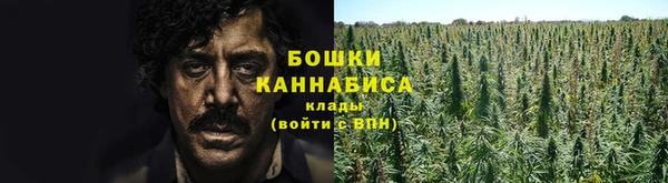 твердый Володарск