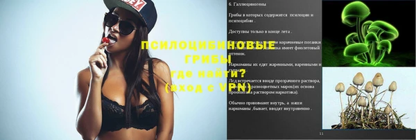 спиды Волосово