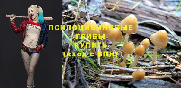 спиды Волосово