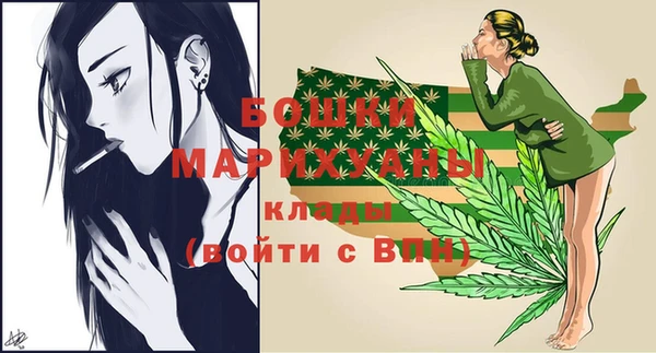 твердый Володарск
