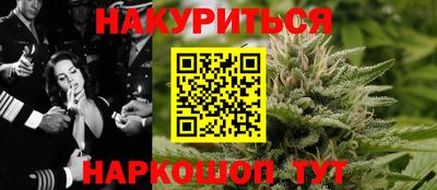 молекула духа Будённовск