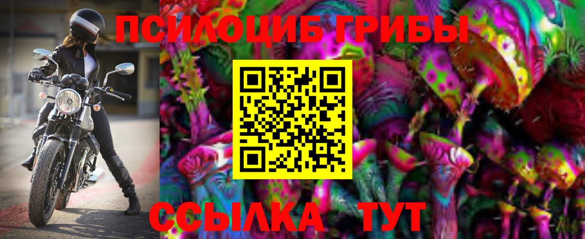 Псилоцибиновые грибы мухоморы  Железногорск  Галлюциногенные грибы Cubensis 