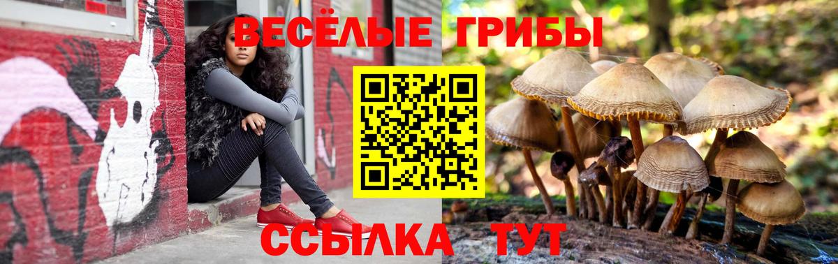 Галлюциногенные грибы ЛСД  Вход с VPN  Железногорск  Псилоцибиновые грибы мухоморы 