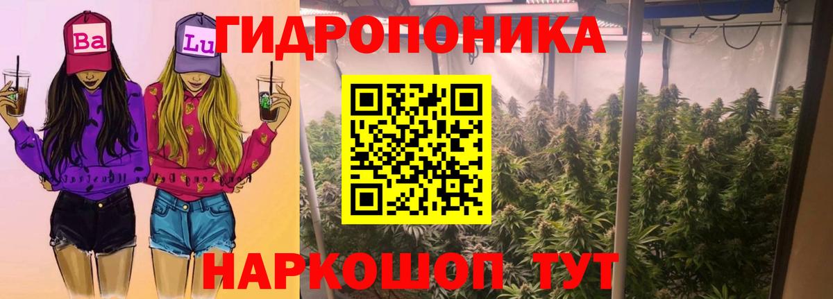 Марихуана ГИДРОПОН  Железногорск  Шишки марихуана OG Kush 